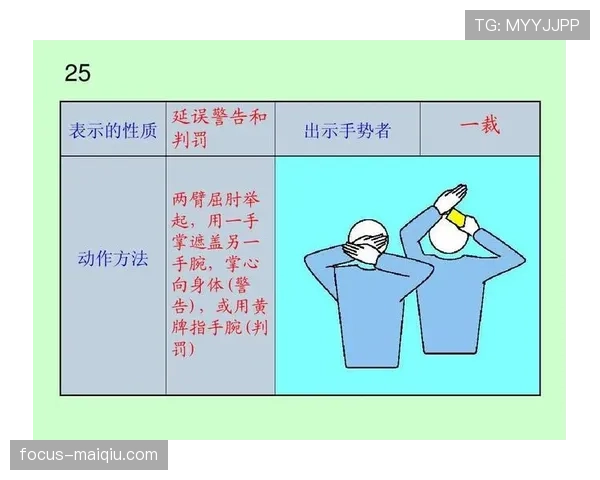 裁判手势规则解析：详解常见手势含义与适用场景