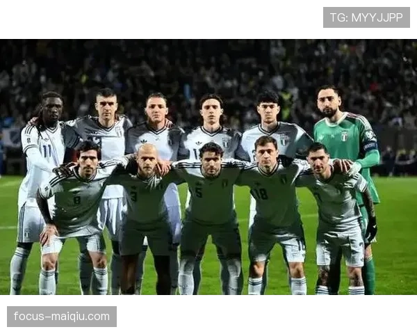 波黑冲击2026世界杯：晋级前景与阵容挑战分析