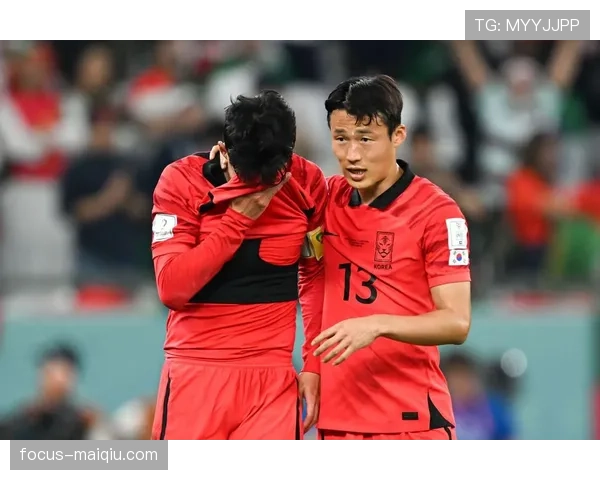 韩国队2026世界杯D组能否晋级16强 韩国队2026世界杯D组能否晋级16强